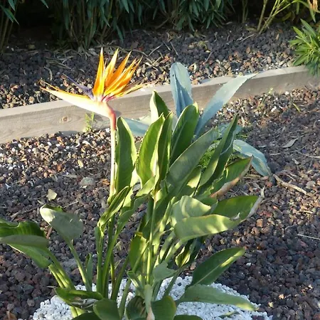 La Calanque Du Boucharel Maison d'hôtes Saint Aygulf