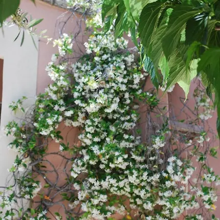 Maison d'hôtes La Calanque Du Boucharel Saint Aygulf