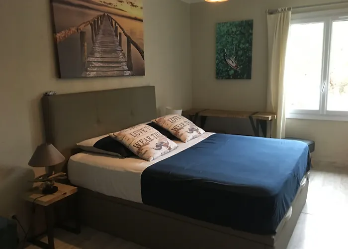 La Calanque Du Boucharel 4* 圣艾格夫